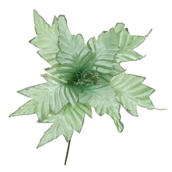 Χριστουγεννιάτικο Λουλούδι Αλεξανδρινό Πράσινο (25cm)